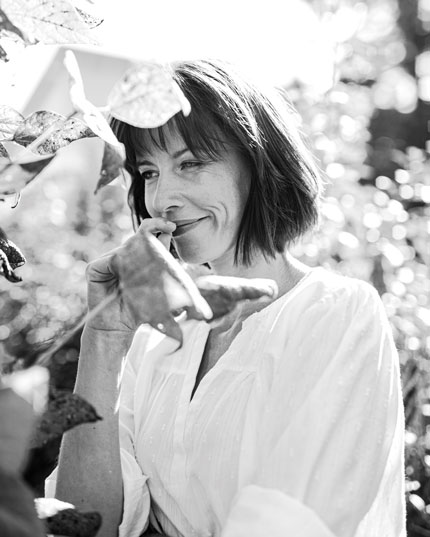 Ohne Falvonoide und Terpene - nur CBD Ohne Falvonoide und Terpene - nur CBD