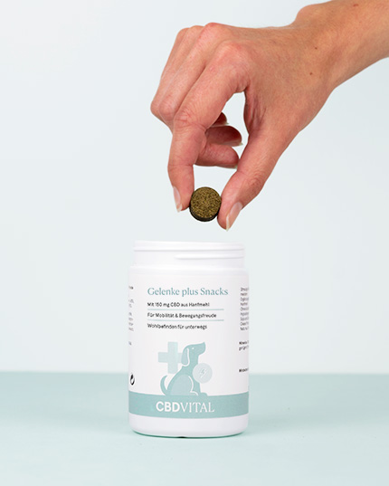 Mit Glucosamin, Chondroitin, Weihrauch, Kurkuma und MSM Mit Glucosamin, Chondroitin, Weihrauch, Kurkuma und MSM