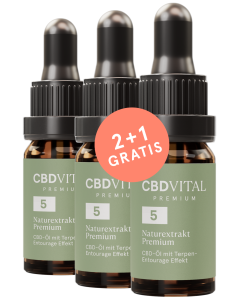 CBD Naturextrakt PREMIUM Öl 10% ★ 2 + 1 GRATIS