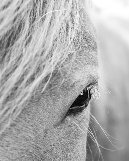 Für die dauerhafte Anwendung Für die dauerhafte Anwendung